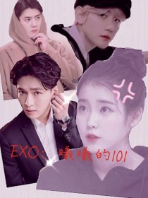 EXO：曦曦的101