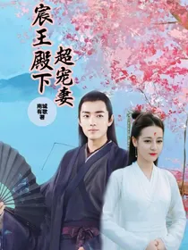 宸王殿下超宠妻