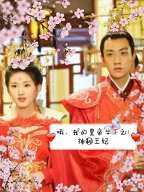 哦，皇帝陛下之：神秘王妃