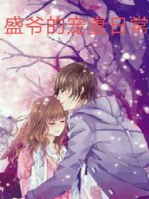 盛爷的宠妻日常