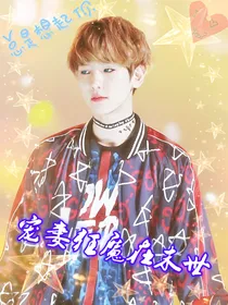 边伯贤：宠妻狂魔在末世