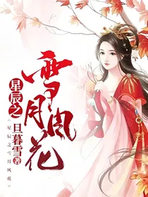 星辰之雪月风花