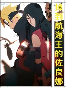 掉到航海王的佐良娜（弃文）