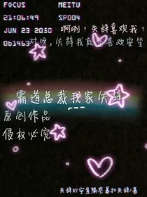 霸道总裁我家失辞