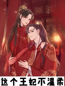 这个王妃不温柔