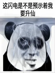 逆苍穹干天道