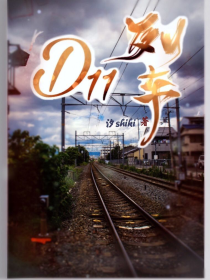D11列车