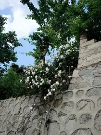 女配的求生之路