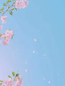 花瓣落下