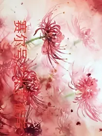 赛尔号之光影彼岸