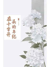 在十字开头的年纪