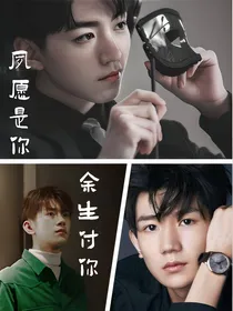 夙愿是你，余生付你