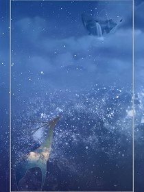 昨夜夏若宇星