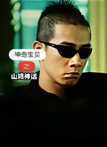 神奇宝贝之山鸡神话