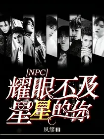 NPC：耀眼不及星星的你