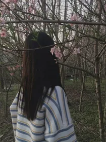 情缘已定：总裁太狂