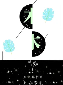 柯南之吾凰与吾