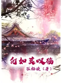 何如莫叹殇