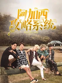 阿加西攻略系统