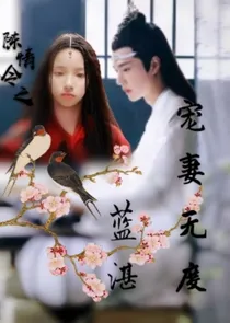 陈情令之蓝湛宠妻无度