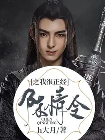 陈情令之我很正经