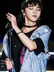 华晨宇：花花的追妻之路