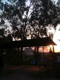 风景旧曾谙似是故人来
