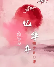 综影视：忆华年