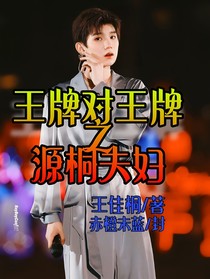 王牌对王牌之源桐夫妇——d410