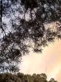搞笑宿舍日常