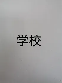 某某学校——d852