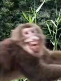 不好看（金币啊！）