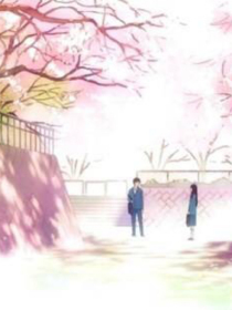 那一天，你是否记得樱花树下的我？