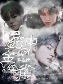 NPC金丝雀