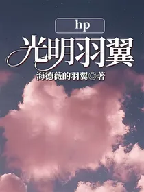 hp光明羽翼