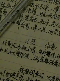 散文小随笔