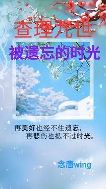查九：被遗忘的时光
