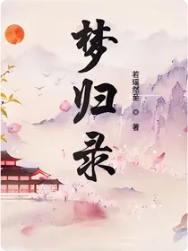 梦归录