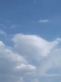 迷你世界灵异事件