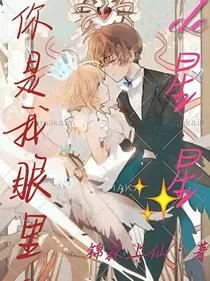 你是我眼里的星星