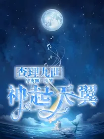 查理九世之神起天翼