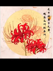 斗龙战士之梦回彼岸