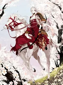 镇国女将