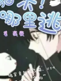 猫咪！你往哪逃？