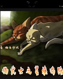 猫武士之星族指路（火星沙风）