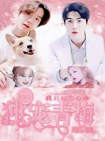 EXO：独宠青梅