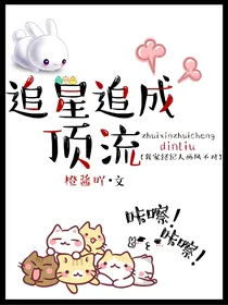 追星追成顶流
