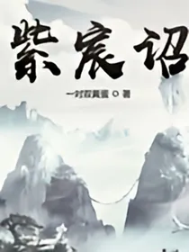 紫宸诏