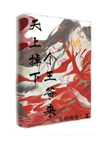 天上掉下个王爷来
