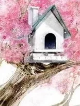 合租法则：心动小屋